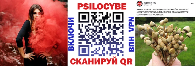 Псилоцибиновые грибы Magic Shrooms  Псков 